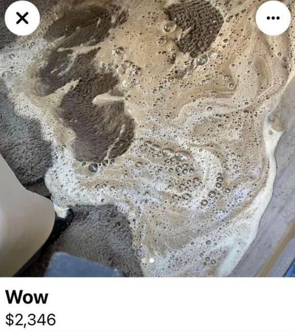 The Most Bizarre Items Ever Listed Online