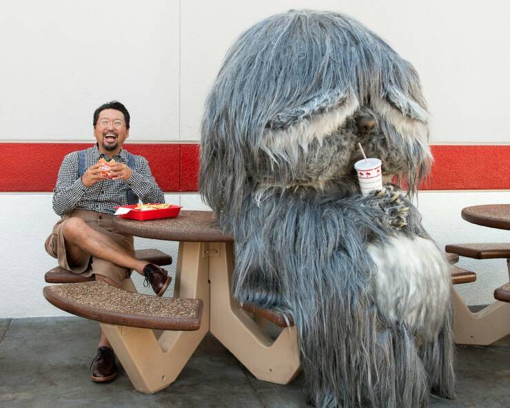Daily Picdump