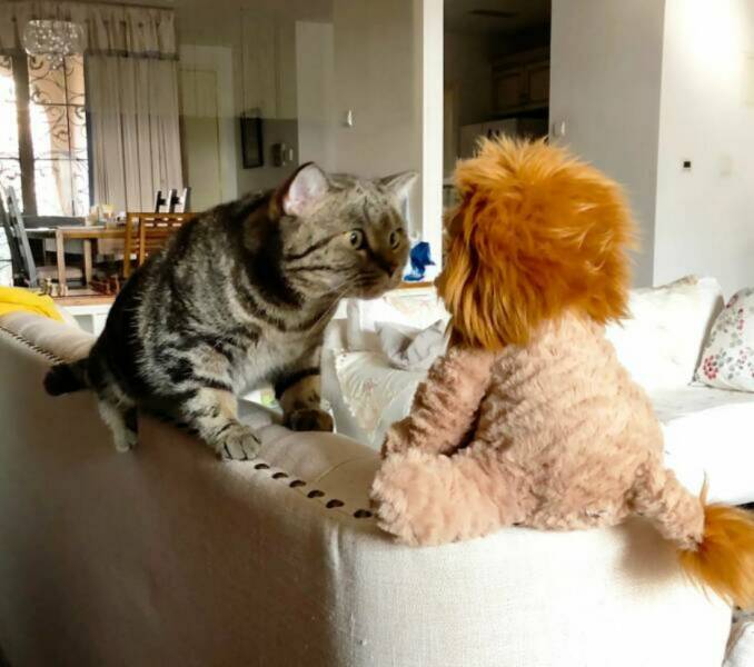 Daily Picdump