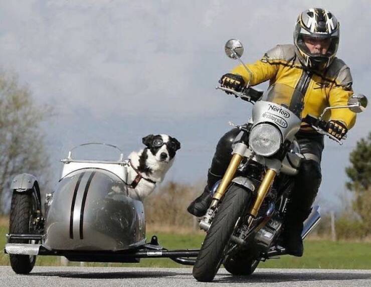 Morning Picdump