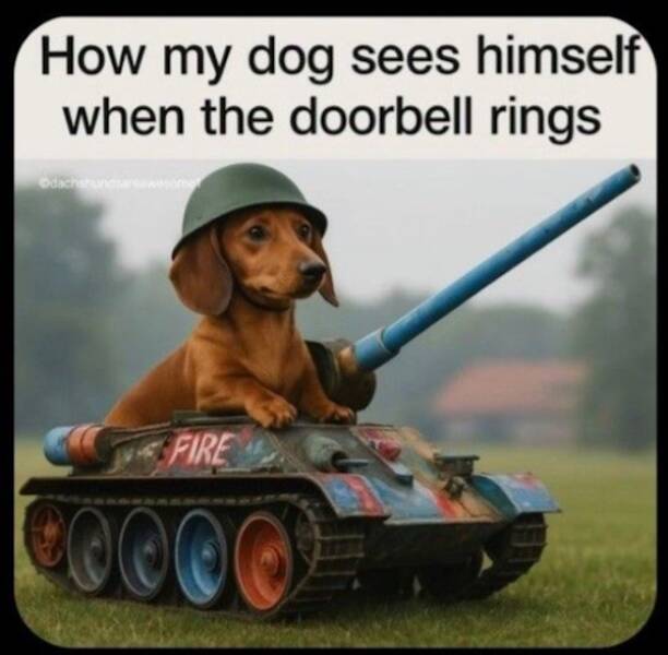 Truth Bombs with a Side of Laughter