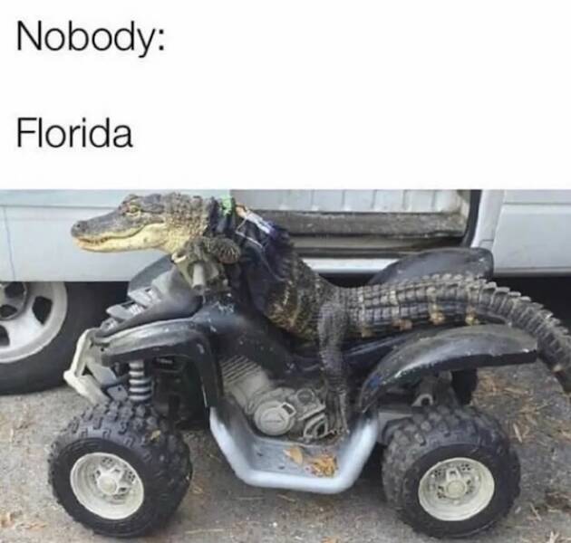 Truth Bombs with a Side of Laughter