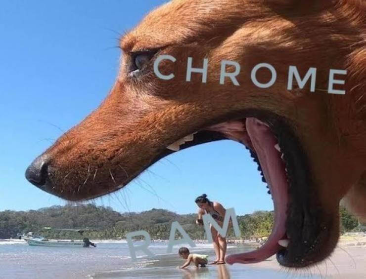 Truth Bombs with a Side of Laughter