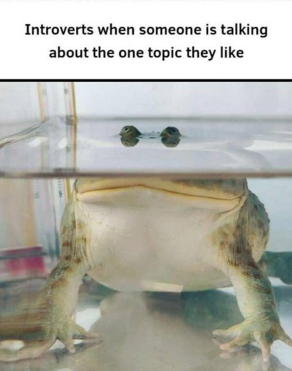 Truth Bombs with a Side of Laughter