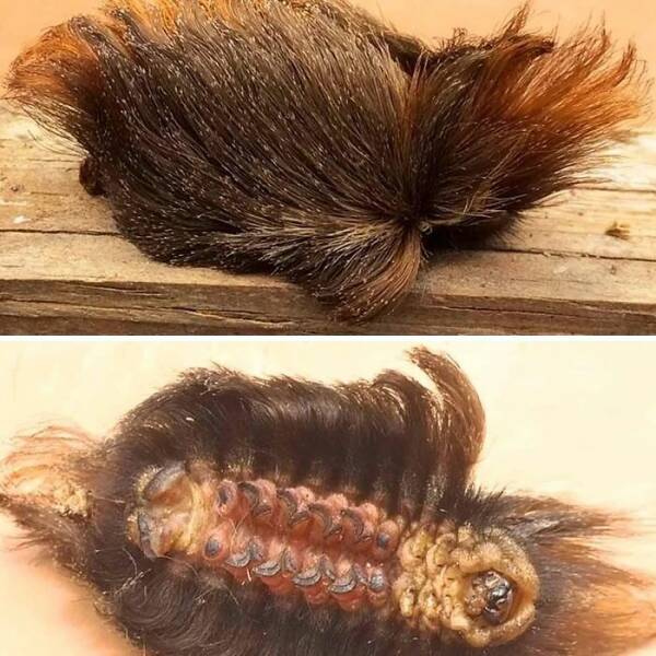 When Nature Decides to Be Absolutely Terrifying