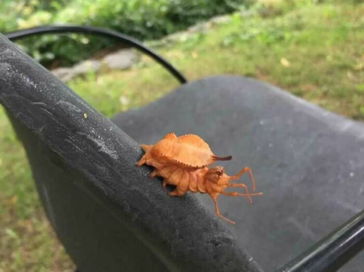 When Nature Decides to Be Absolutely Terrifying