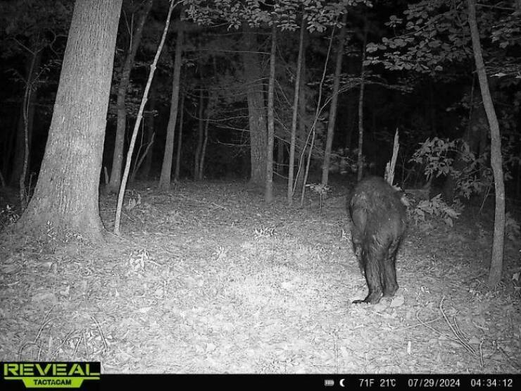 When Nature Decides to Be Absolutely Terrifying