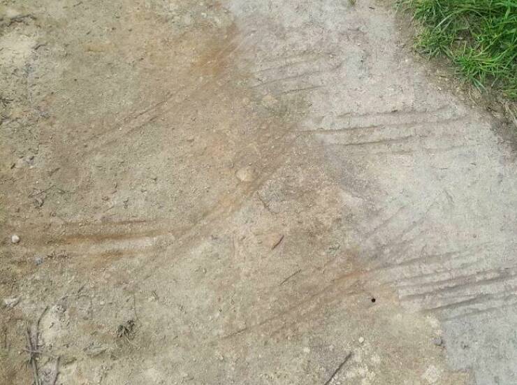 When Nature Decides to Be Absolutely Terrifying