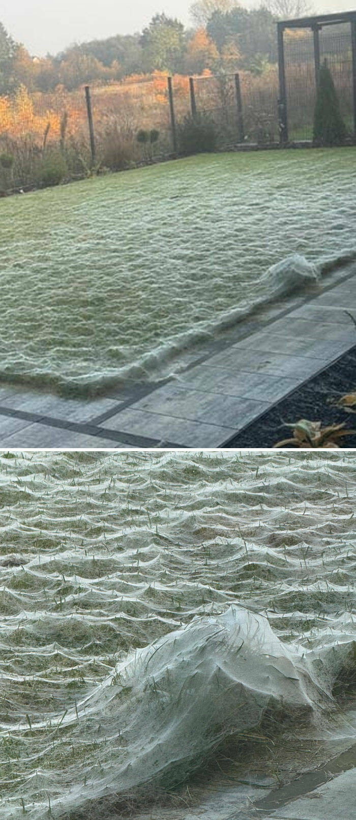 When Nature Decides to Be Absolutely Terrifying
