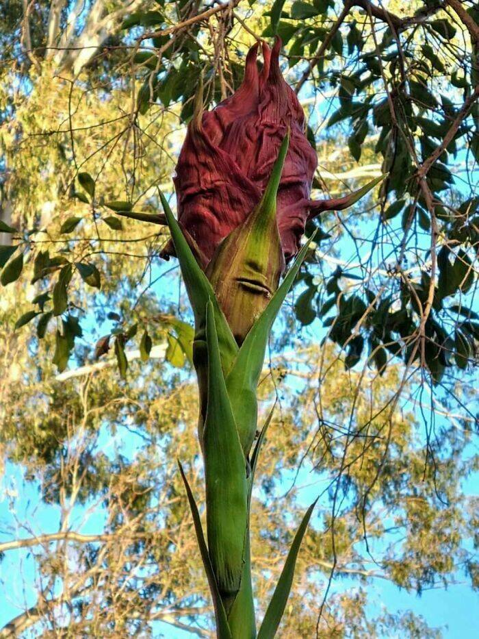When Nature Decides to Be Absolutely Terrifying
