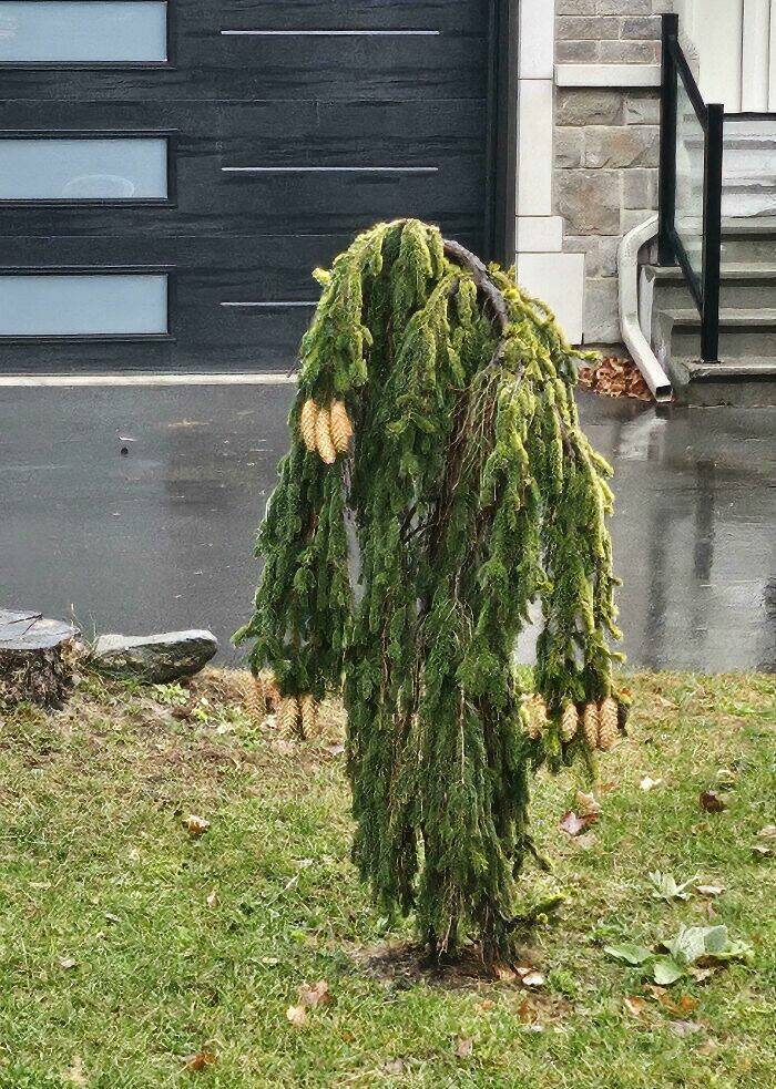 When Nature Decides to Be Absolutely Terrifying