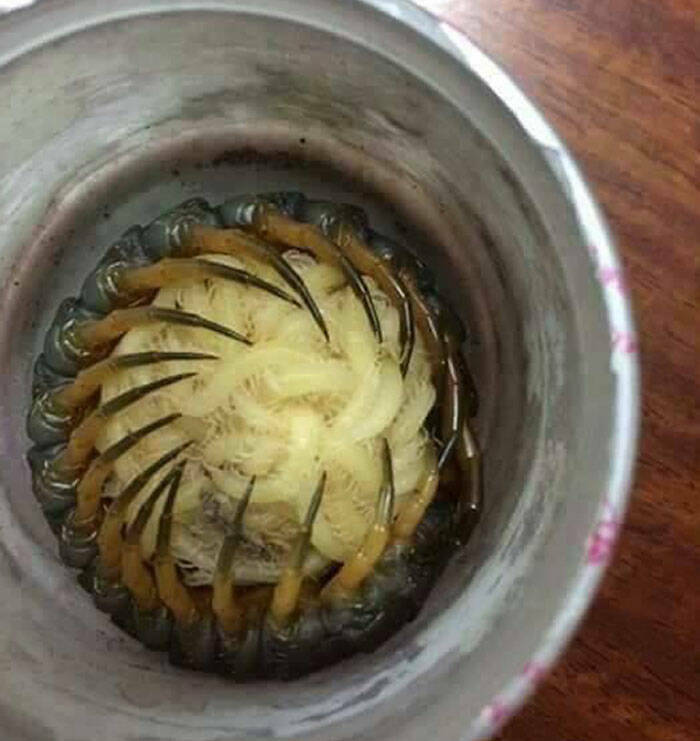 When Nature Decides to Be Absolutely Terrifying