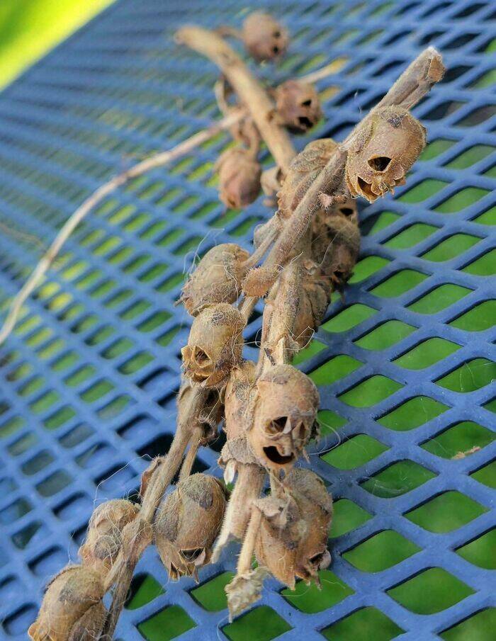 When Nature Decides to Be Absolutely Terrifying