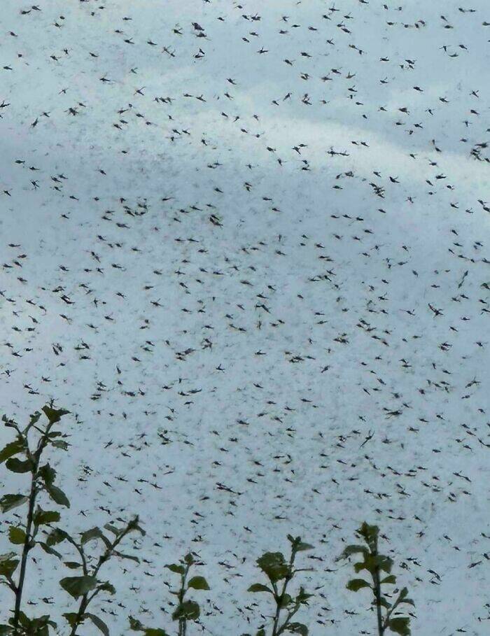 When Nature Decides to Be Absolutely Terrifying