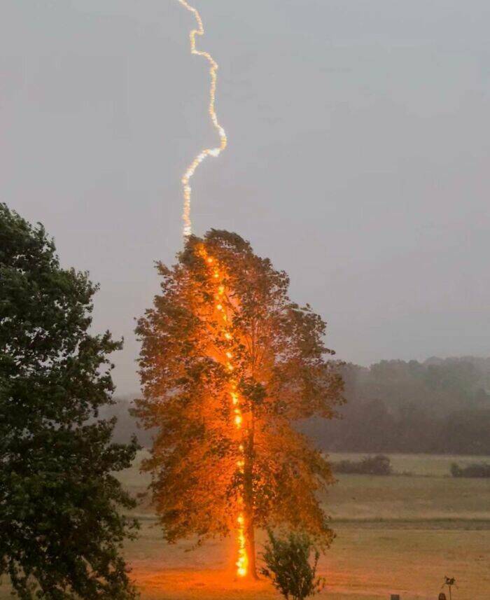 When Nature Decides to Be Absolutely Terrifying