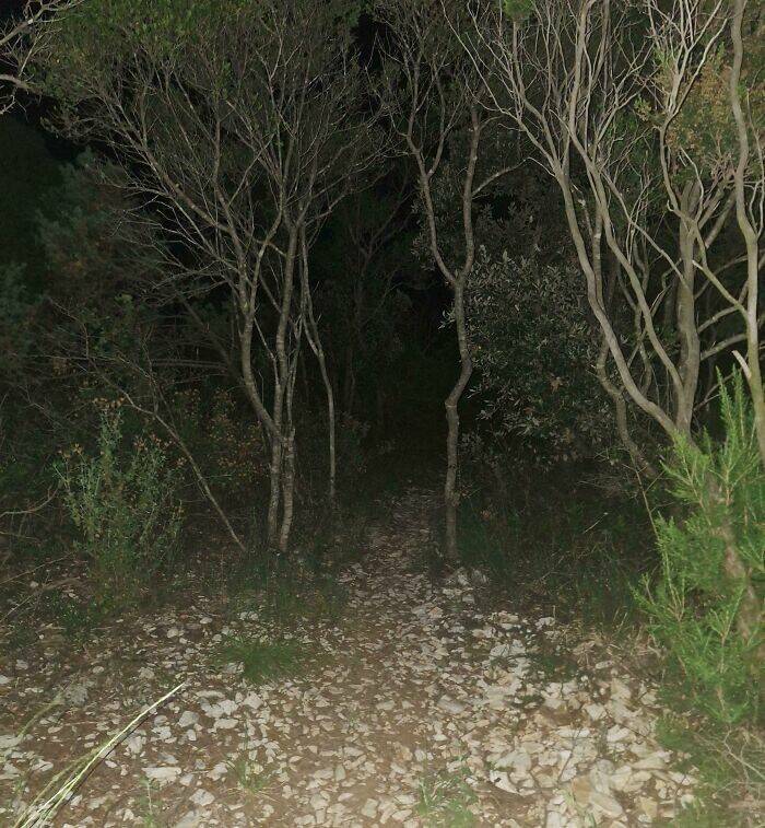 When Nature Decides to Be Absolutely Terrifying