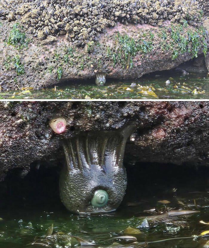 When Nature Decides to Be Absolutely Terrifying