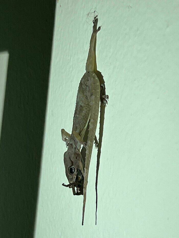 When Nature Decides to Be Absolutely Terrifying