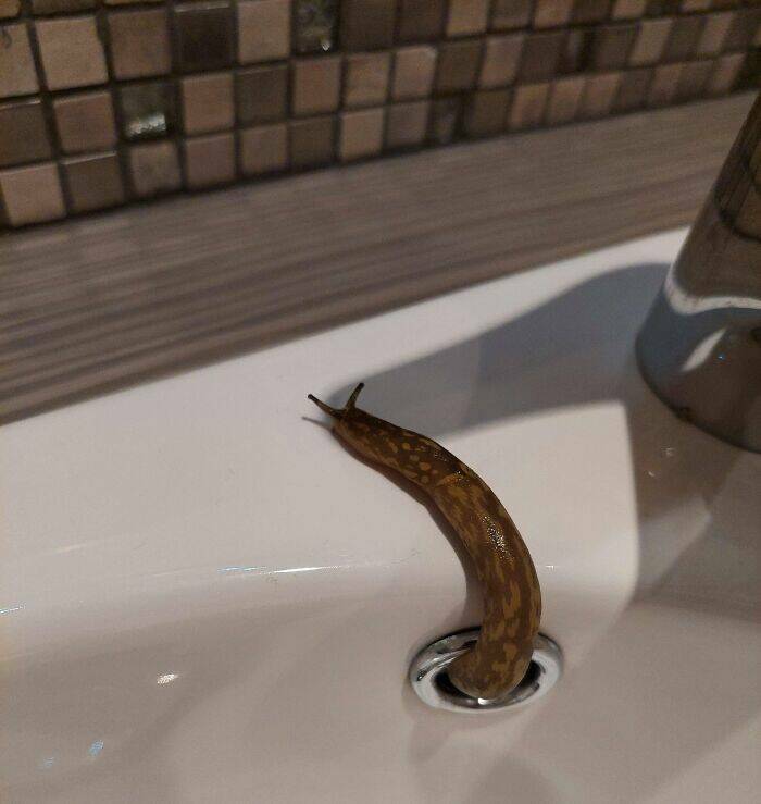 When Nature Decides to Be Absolutely Terrifying