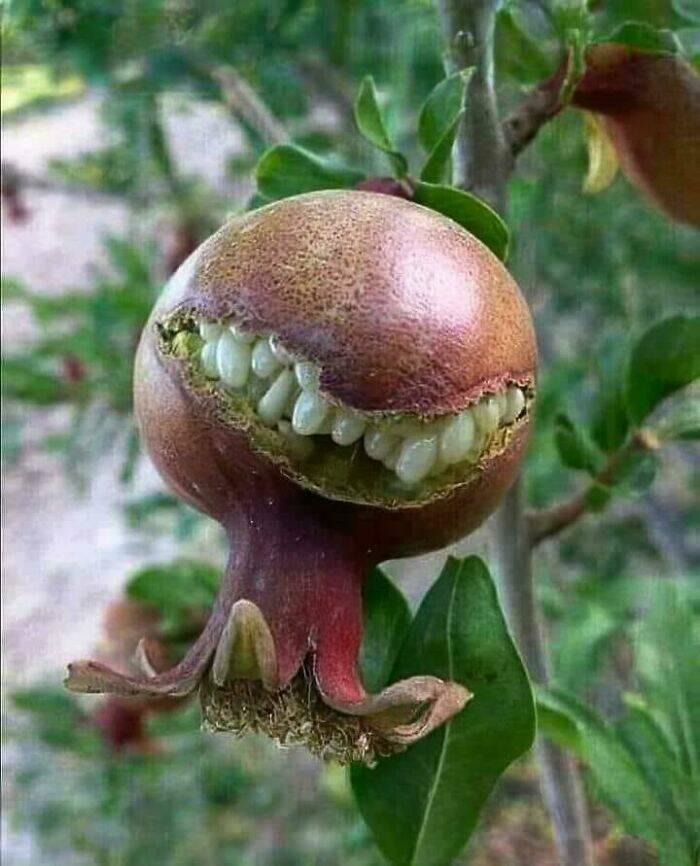 When Nature Decides to Be Absolutely Terrifying