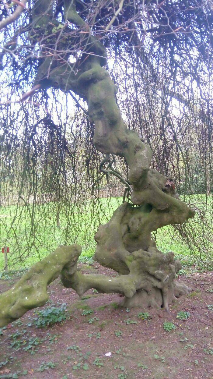 When Nature Decides to Be Absolutely Terrifying