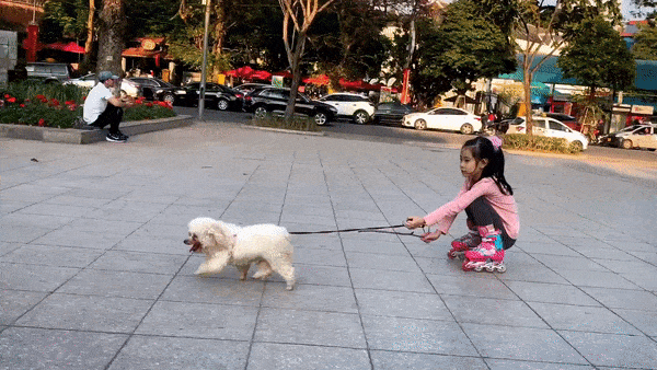 Daily Gifdump Daily Gifdump