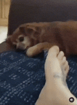 Daily Gifdump Daily Gifdump