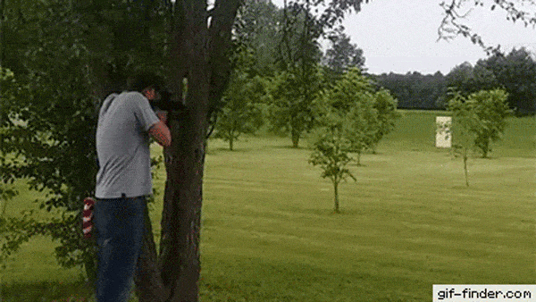 Daily Gifdump Daily Gifdump