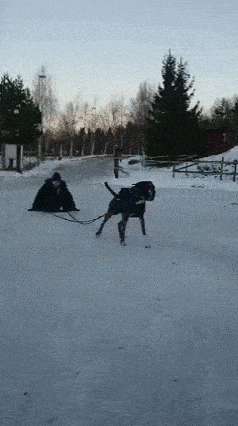 Daily Gifdump Daily Gifdump