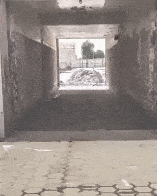 Daily Gifdump Daily Gifdump