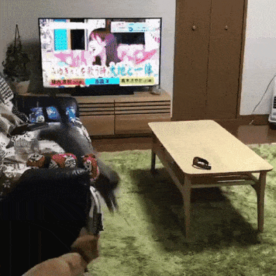 Daily Gifdump Daily Gifdump