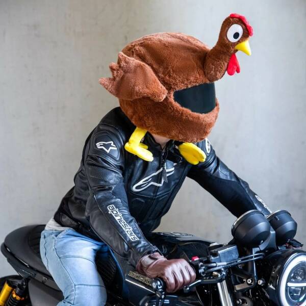 Daily Picdump