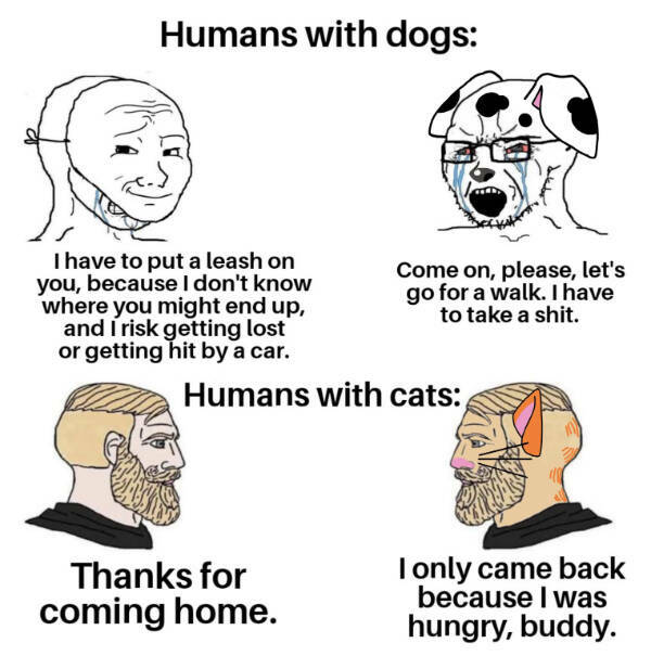 Dank Memes That Should Probably Be Illegal