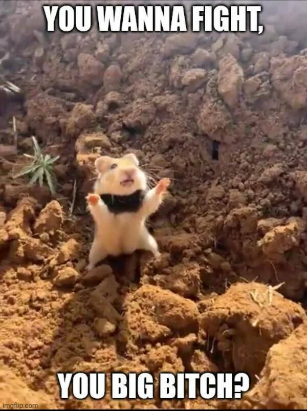 Dank Memes That Should Probably Be Illegal