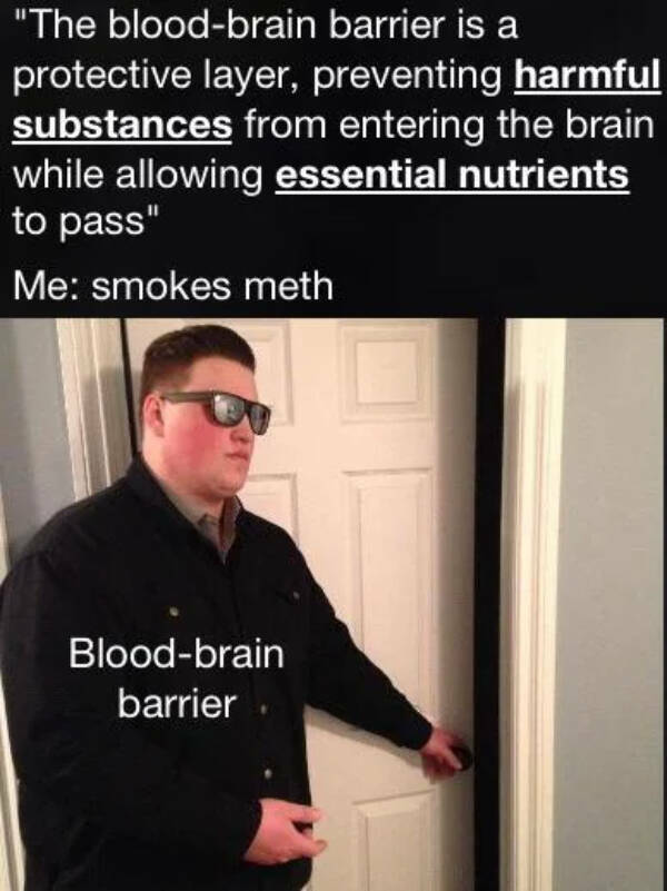 Dank Memes That Should Probably Be Illegal