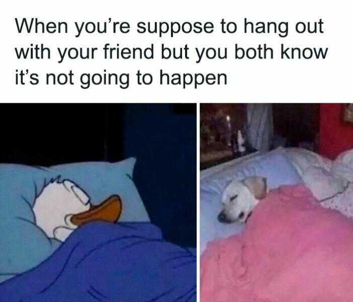 Bestie-Level Relatable Memes You Need to Share