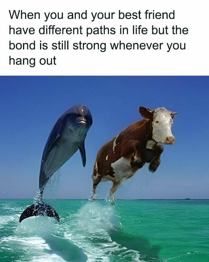 Bestie-Level Relatable Memes You Need to Share