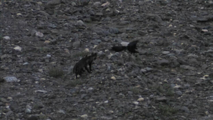 TIL Facts You Didn’t Know You Needed