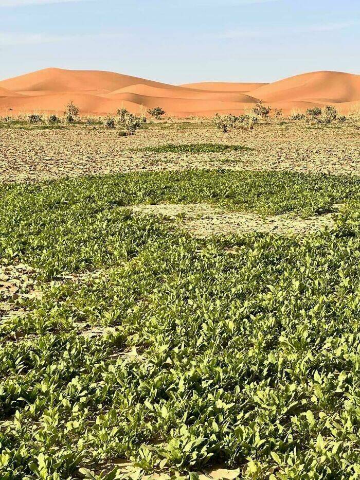 Earth’s Geography at Its Most Fascinating