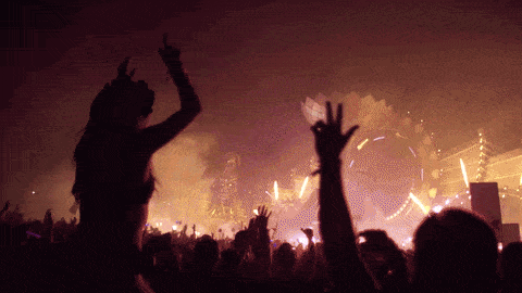 Wild Things People Left at Music Festivals