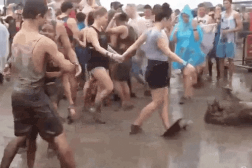 Wild Things People Left at Music Festivals