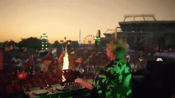 Wild Things People Left at Music Festivals