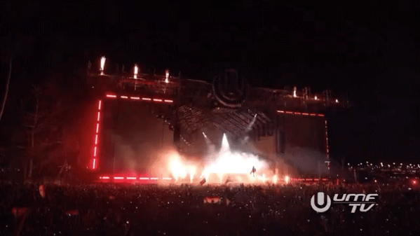 Wild Things People Left at Music Festivals