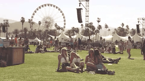 Wild Things People Left at Music Festivals