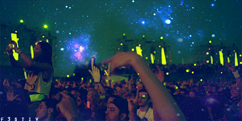 Wild Things People Left at Music Festivals