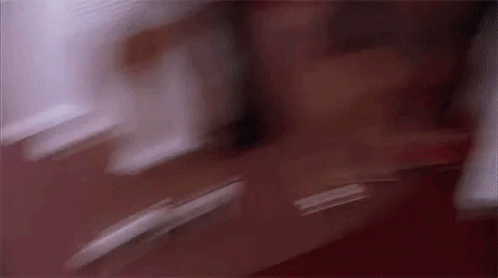 Wild Things People Left at Music Festivals