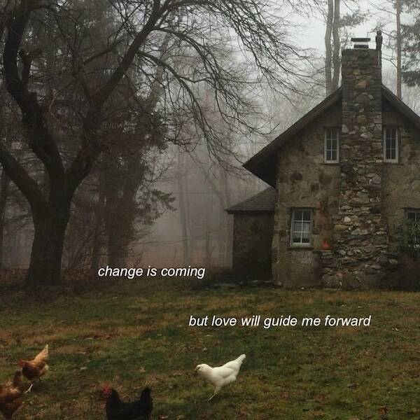 Pictures That Radiate Pure Good Vibes