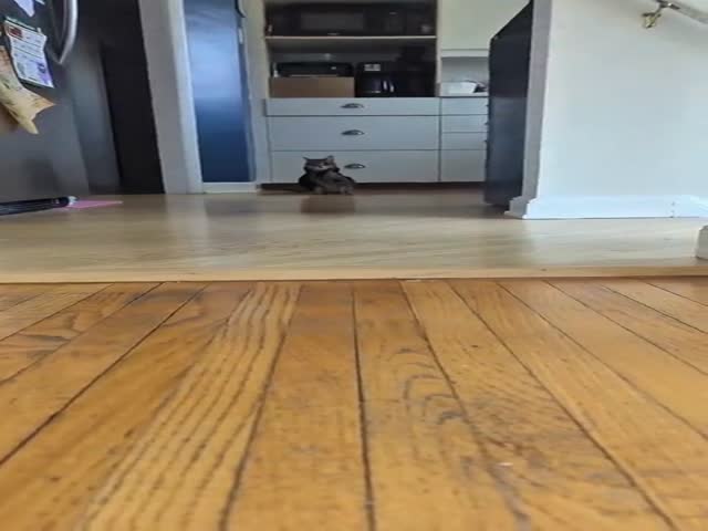 Epic Villain Walk