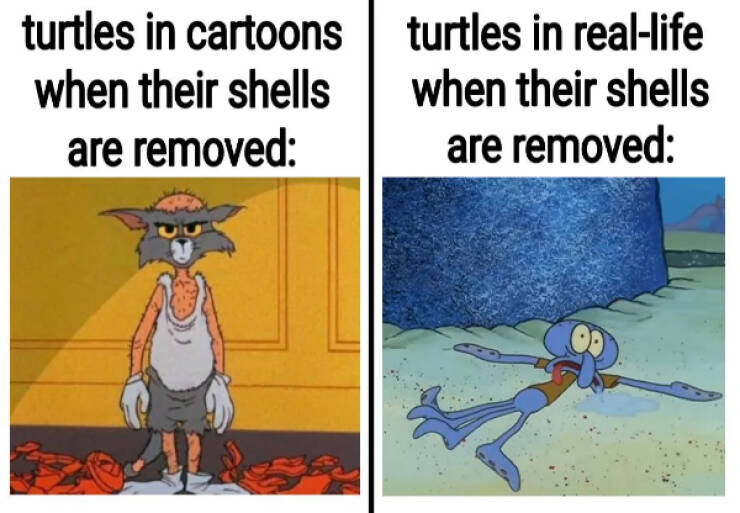 Dank Memes Straight From the Depths of the Web