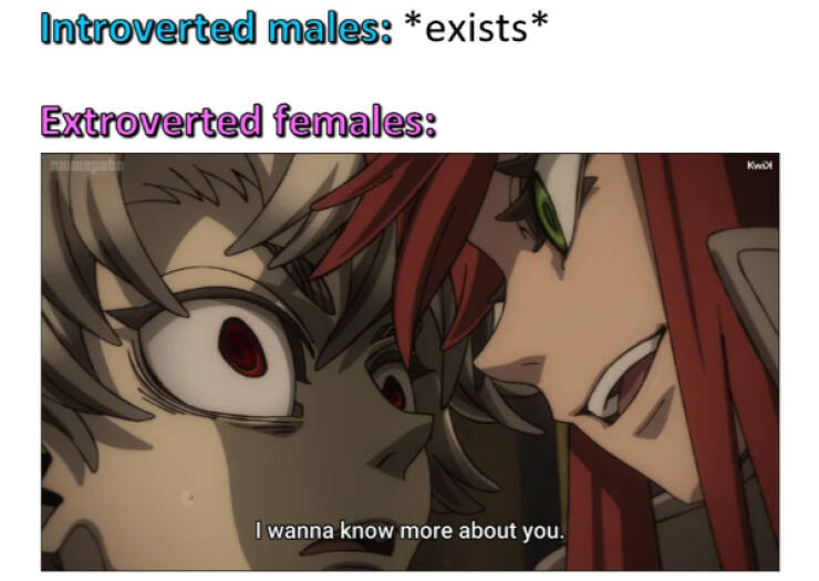 Dank Memes Straight From the Depths of the Web